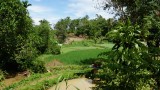 Fraai groen
