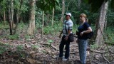 Junglepraat