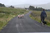DSC_1967