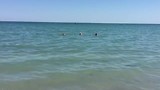 Zwemmen in de Adriatische Zee