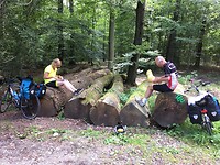 Lunch op de boomstammen