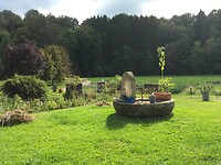 Uitzicht op de mooie tuin