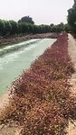 Meer fontein en tuin