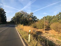 Op weg langs de boomgaard