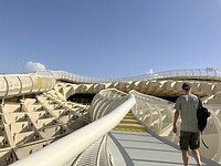 Op de paddenstoelen in Sevilla