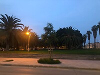 Parkje aan de boulevard