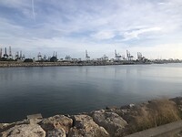 Havengebied Valencia