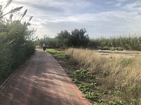 Op weg in Albufera