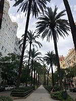Middenberm Avenida Koningin van Valencia
