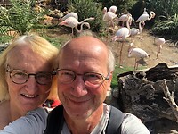 Flamingo’s, eindelijk (in Spanje)