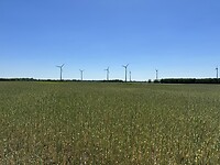 Windmolens te over. Maar plaats genoeg