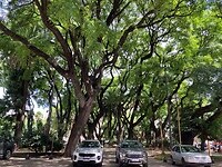 Park San Martin