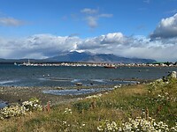 De haven/aanlegsteiger/scheepswerf