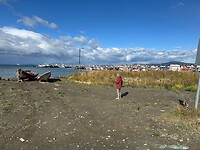 Zicht op de haven