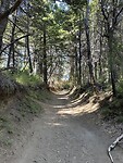 Holle weg in het natuurpark Llao Llao