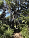 In het bos