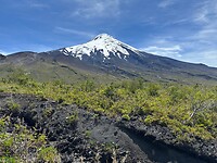 Osorno