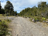 De weg in het Nationaal Park Llanquihue