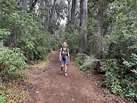 Wandelen in Parque de Arrayanes