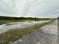 Reserva Ecologica Costanera Sur