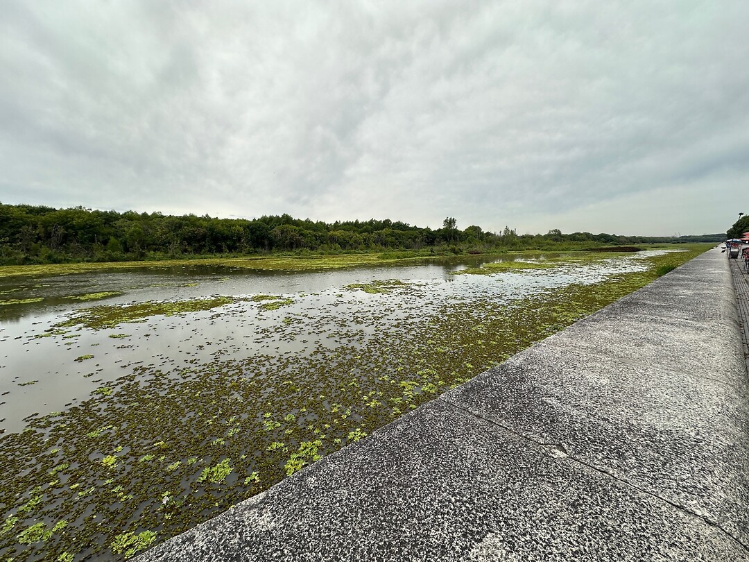 Reserva Ecologica Costanera Sur