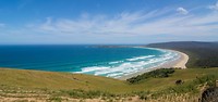 Dag-29 Catlins
