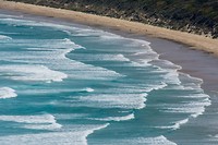 Dag-29 Catlins