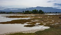 Dag-18 Motueka wetlands
