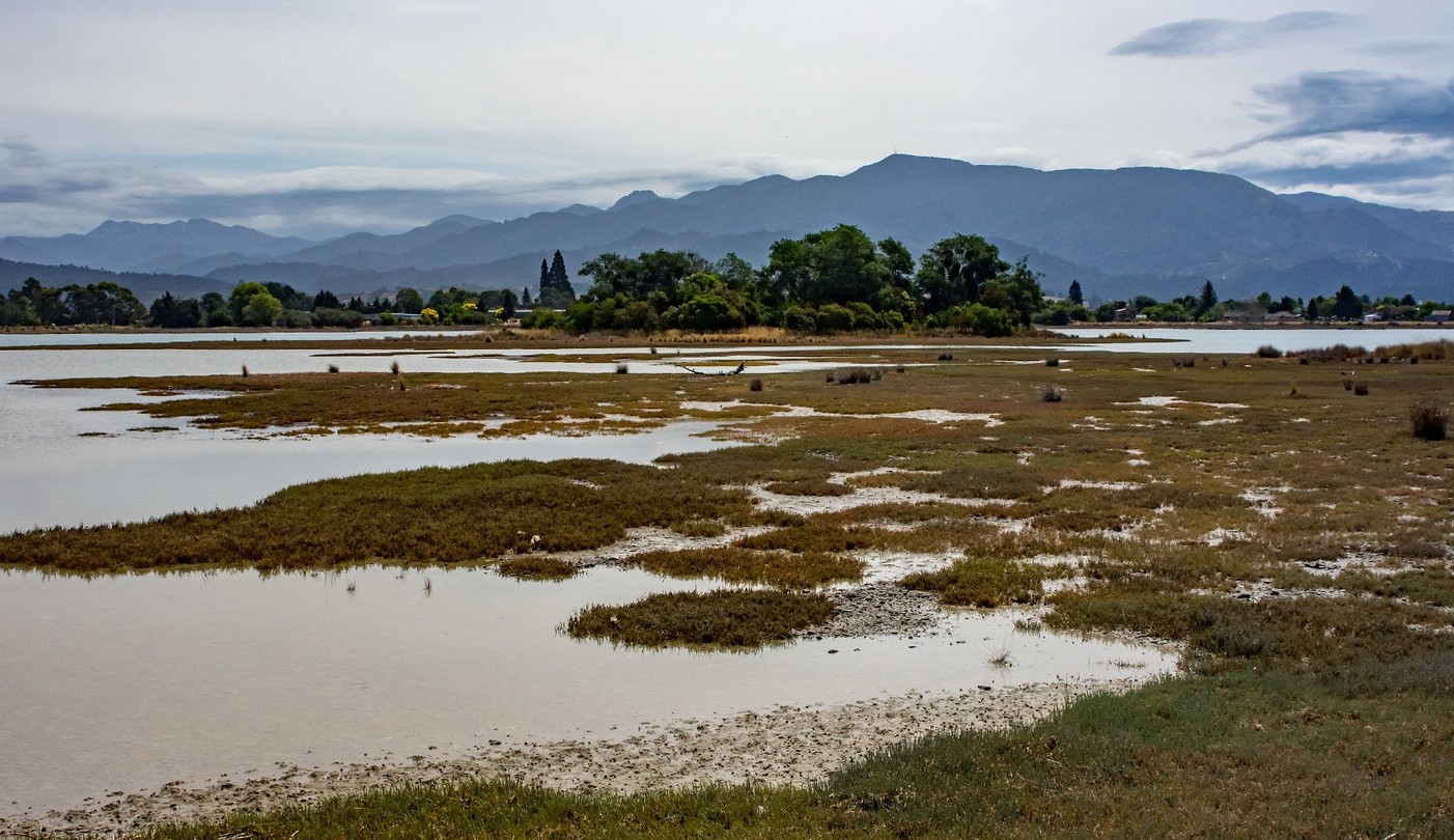 Dag-18 Motueka wetlands