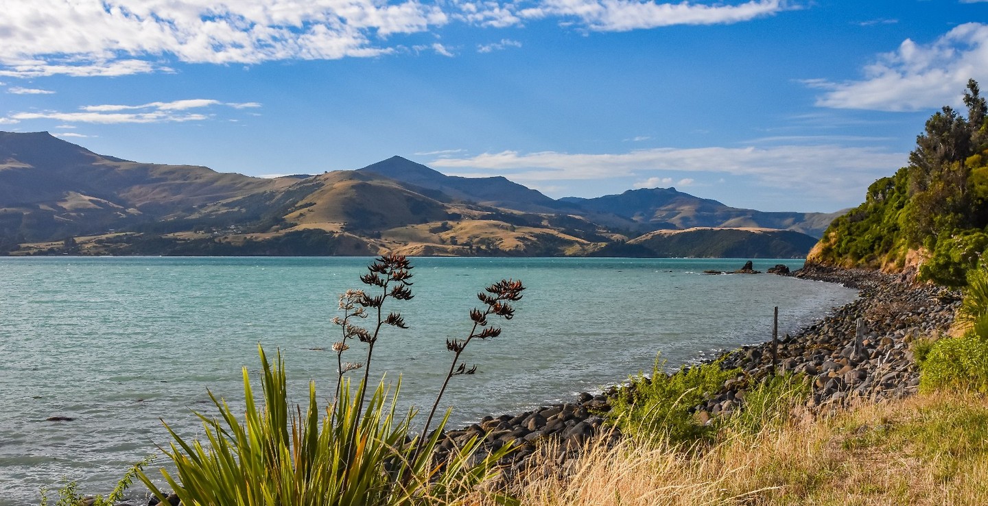 Dag-36 Akaroa Harbour