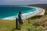 Dag-29 Catlins
