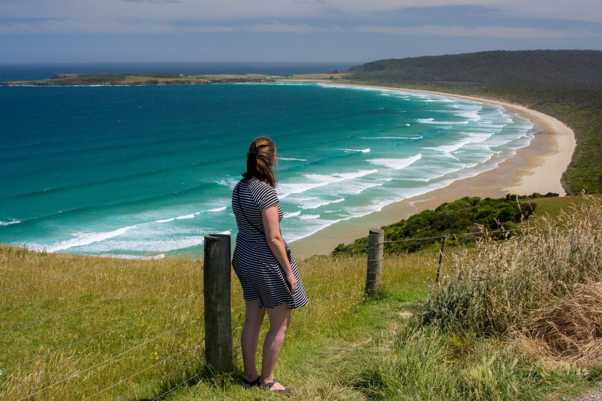Dag-29 Catlins