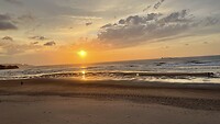 4C9C0023-6F8B-4B23-BEBA-0271FA11C3B0