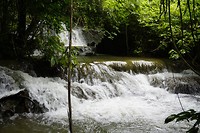 Khao Sok