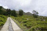 _DSC2281