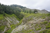 _DSC2310
