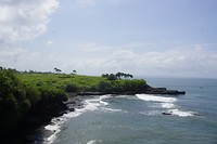 _DSC2334