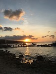 IMG_4255