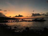 IMG_4262