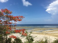 IMG_4308