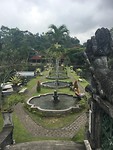 IMG_4555 (1)