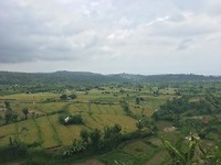 IMG_4557
