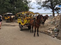 IMG_4570