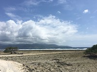 IMG_4585