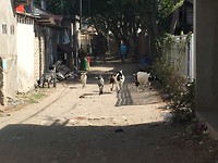IMG_4591