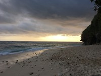 IMG_4619