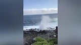 Galapagos