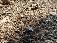 20190724_131327
