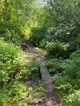 20190724_125402