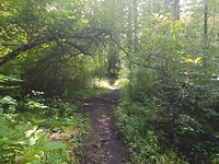 20190724_124616